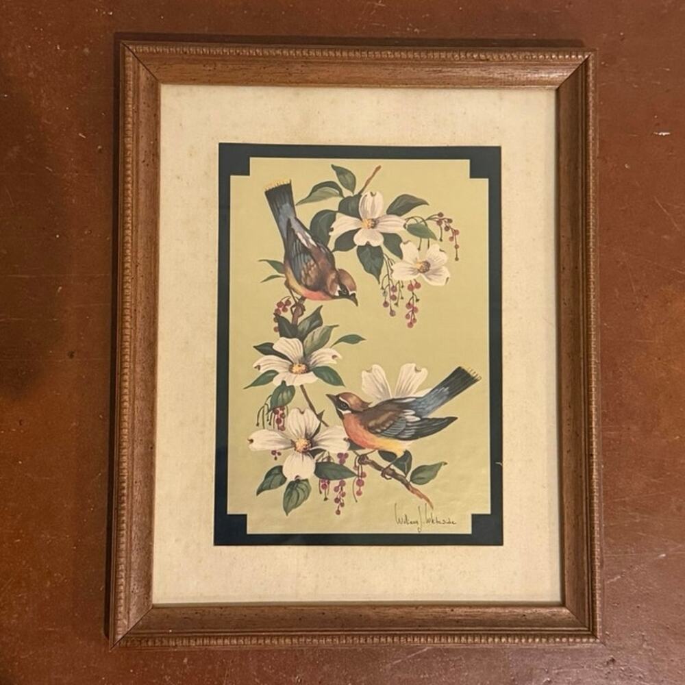 Vintage Framed Bird Print Cedar Waxwings Dogwood Flowers by William J Whiteside